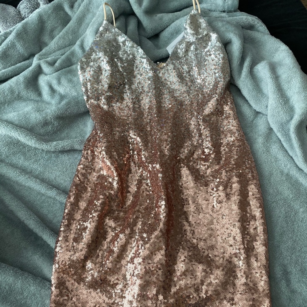 NWT Windsor Dress